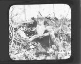 [Owl]