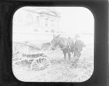 The New Orleans Exposition