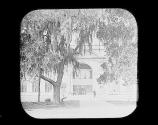 Main Bldg. Through Trees.