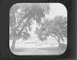 Hort. Hall S.E. (?).