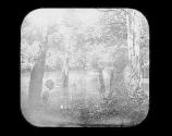 [Man in a boat in the swamp]