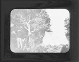 Hawai Camp Near Timberline Maunaloa.