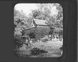 View in Botanical Garden Saigon. Longon Jardin Batanique.