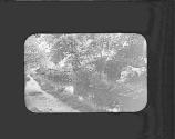 Mill Race on the Brandywine. (On Slide) (Neg) July 1877 Washed Emul., Remt'd 1895 Wet. S.M. Fox.