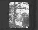 A Bit of the Tunxis Farmington Conn.