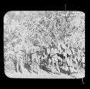 'Veddalis', Wild Men of Ceylon.