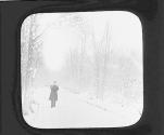 Paris. Bois de Boulogne.