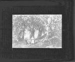 R. Wagner's Parsifal (On Slide)