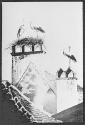 The Storks of Strassburg-