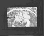 Parsifal-in Hell