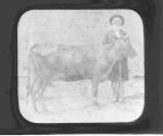 [Man with bull]