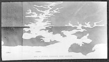Map of Sydney Harbour, Port Jackson