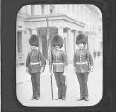 25. The Colours, Coldstream Guards.