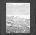 [Untitled]