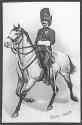 Scots Greys