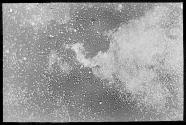 The 'North America' Nebula. Barnard.