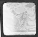 Cyclophthalmus Bucklandi. A Fossil Scorpion of the Coal Measures of Bo hemia.