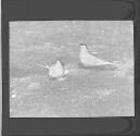 [Untitled]