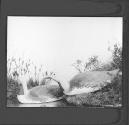 [Untitled]