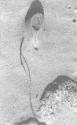 S.W. 2