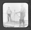 Looking the Nets-J.V.