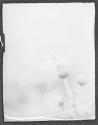 [Untitled]