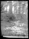 [Untitled]