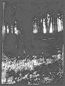 [Untitled]