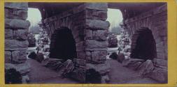 Rustic Bridge over the Ravine