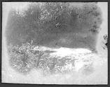 [Untitled]