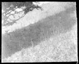 [Untitled]