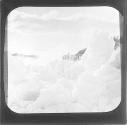 Niagara Ice Clouds