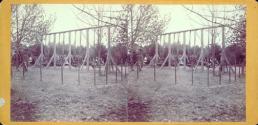The Swings.