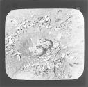 (illeg.) Terns Nest