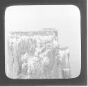 Guillemots on 'Pinnacles', W.