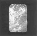 Fountains Abbey Ext., From Cellarium Window. Fountains Abbey - from C ellarium Window.