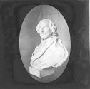 Davenport Bust.