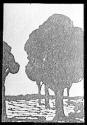 [Untitled]