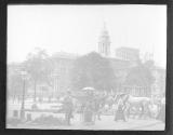 N.Y. City Hall