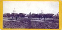 The Capitol from the Botanical Garden.