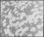 [Untitled]