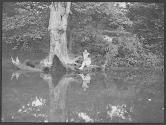 [Untitled]